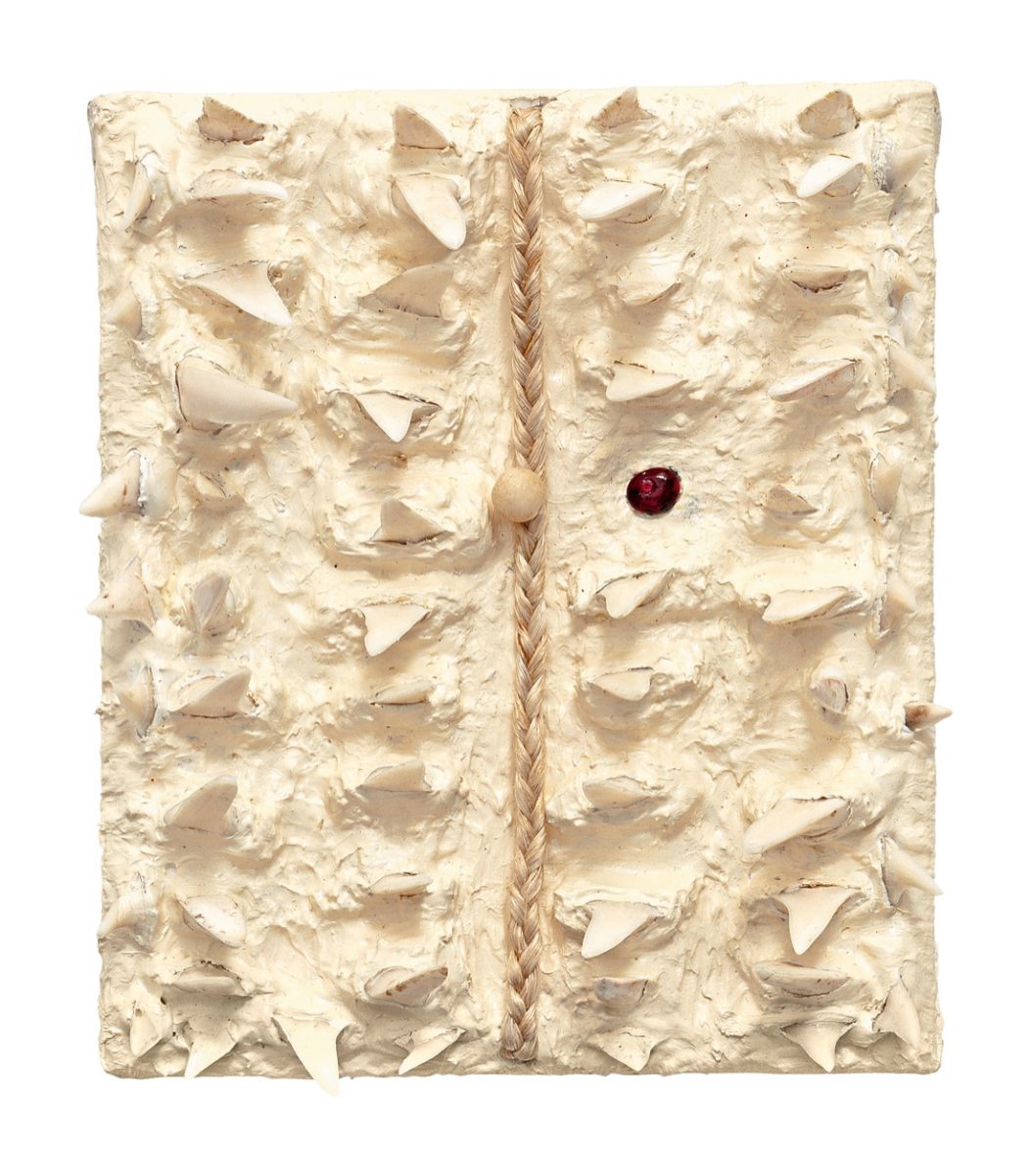 Kiwi Consciousness: la Nuova Zelanda a Imago Mundi