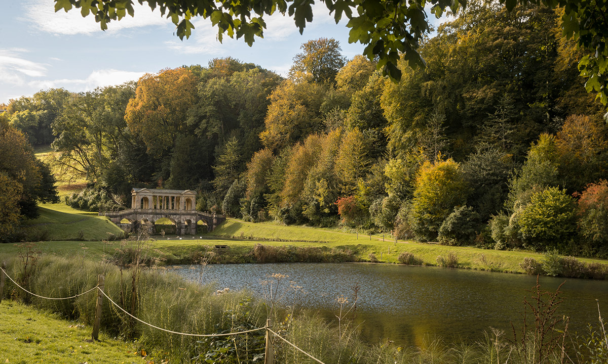 I colori dell’autunno nel Somerset inglese I colori dell’autunno nel Somerset inglese