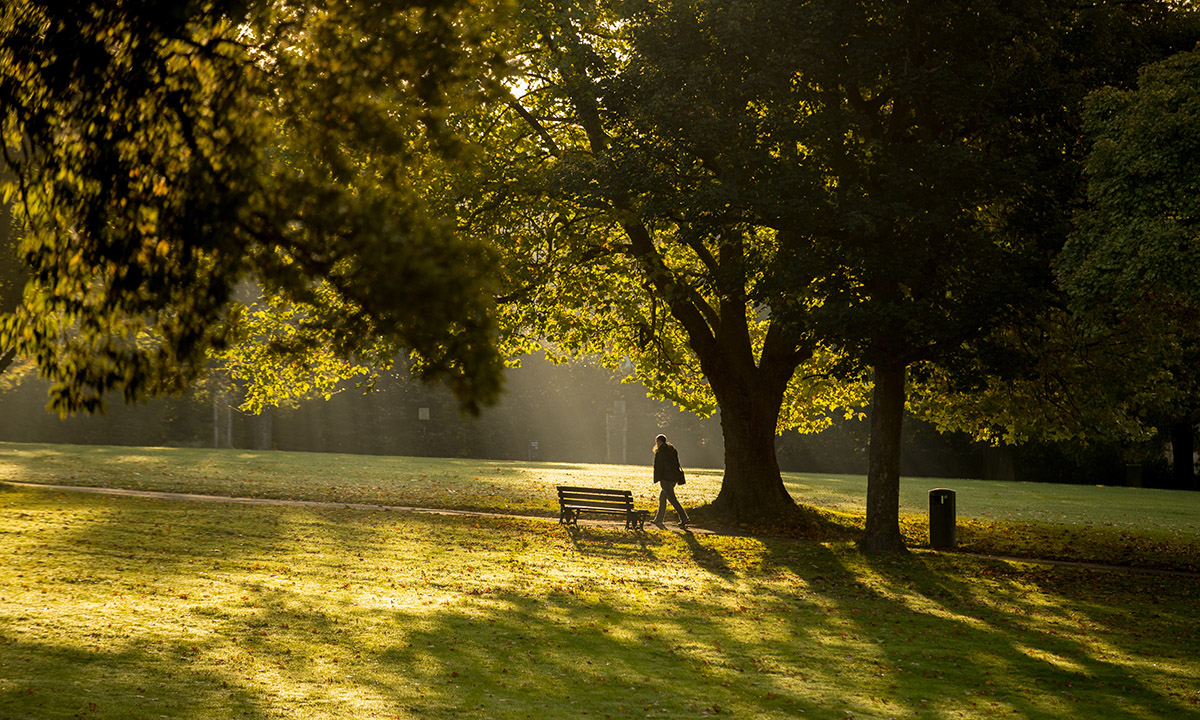 I colori dell’autunno nel Somerset inglese I colori dell’autunno nel Somerset inglese