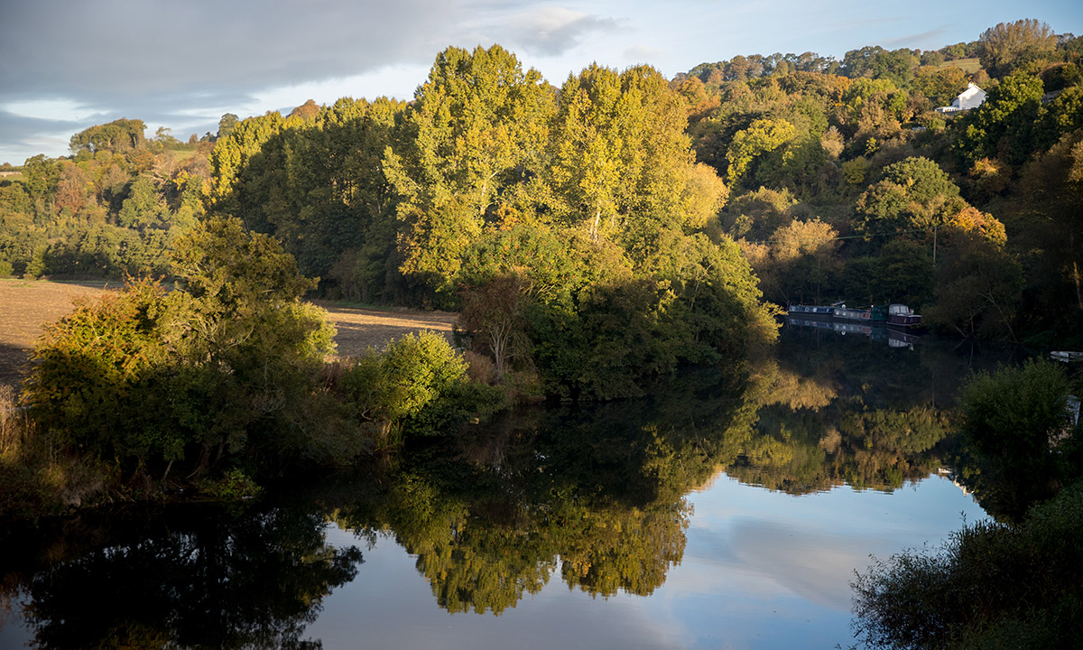 I colori dell’autunno nel Somerset inglese I colori dell’autunno nel Somerset inglese