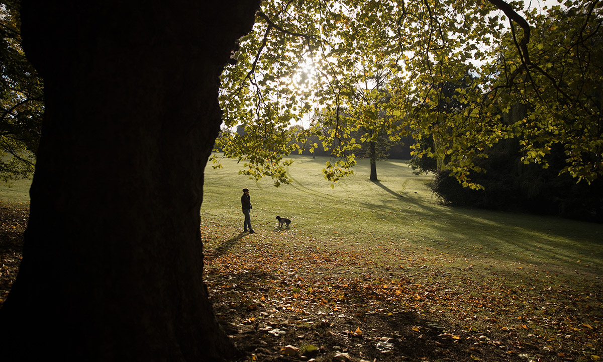I colori dell’autunno nel Somerset inglese I colori dell’autunno nel Somerset inglese