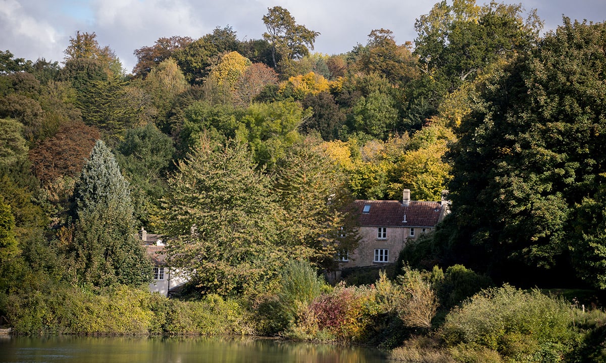 I colori dell’autunno nel Somerset inglese I colori dell’autunno nel Somerset inglese