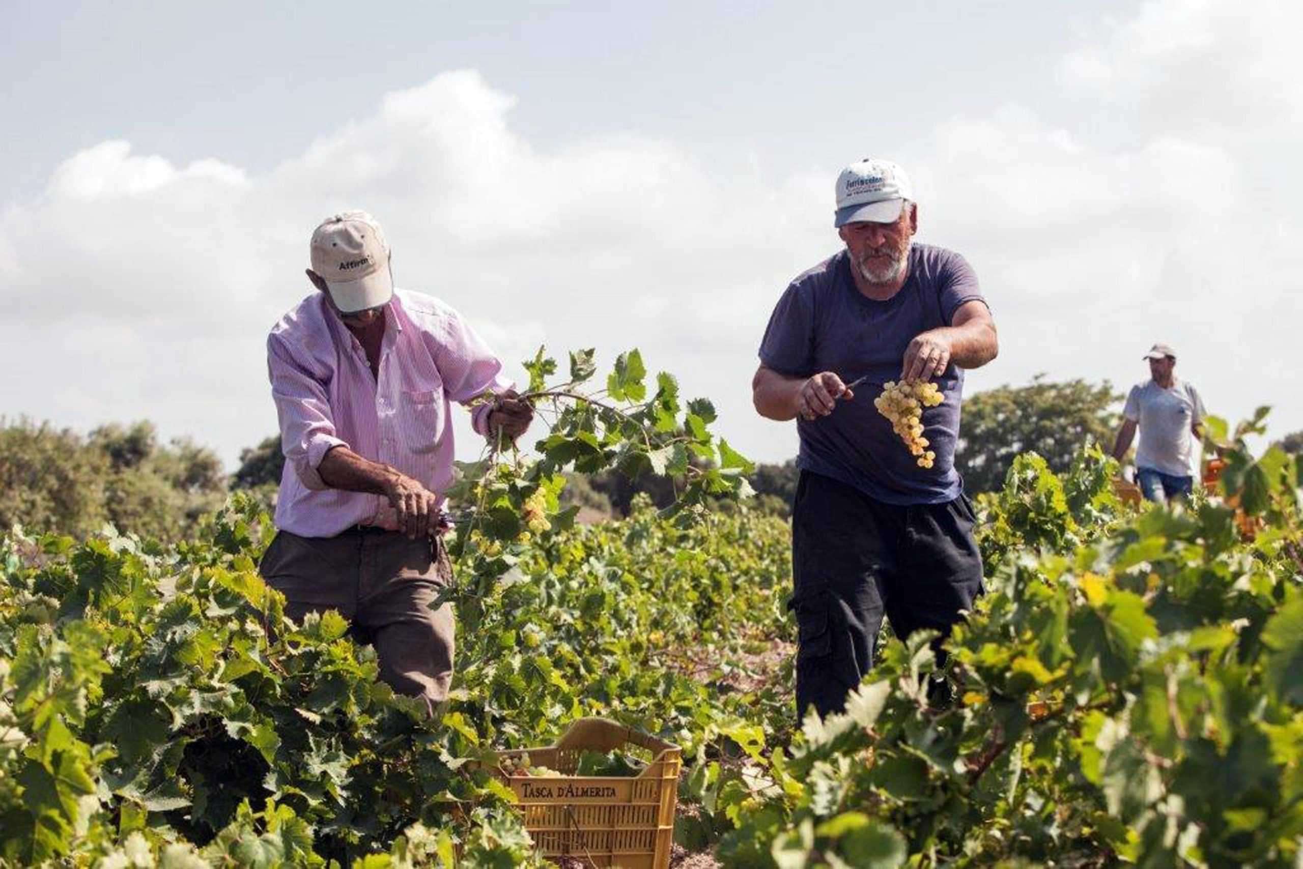 Caporalato, ecco le nuove regole