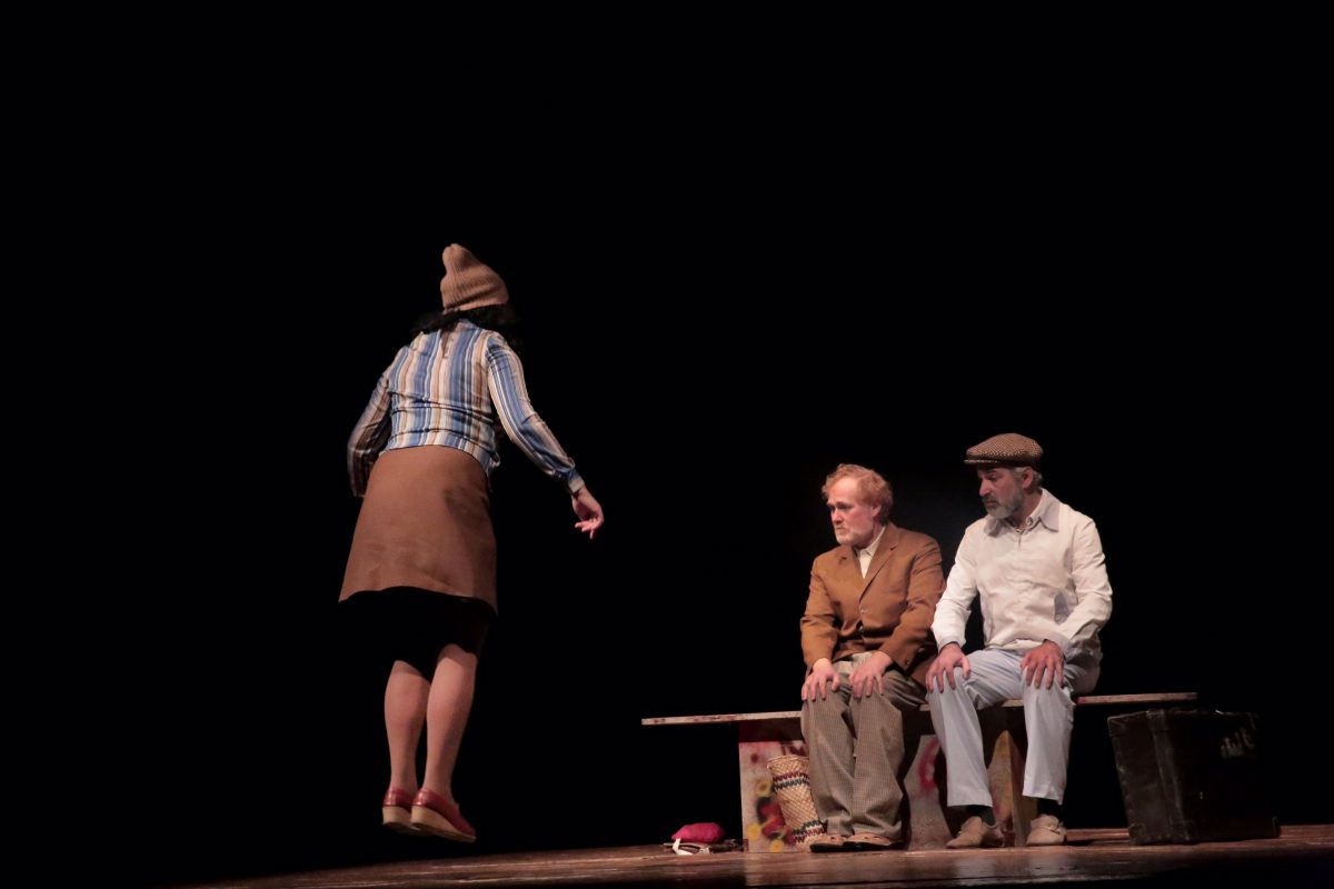 Galleria foto 'Sospiro a teatro: una rassegna di qualità' - foto 2