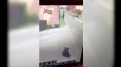 Messico: giudice ucciso per strada | video