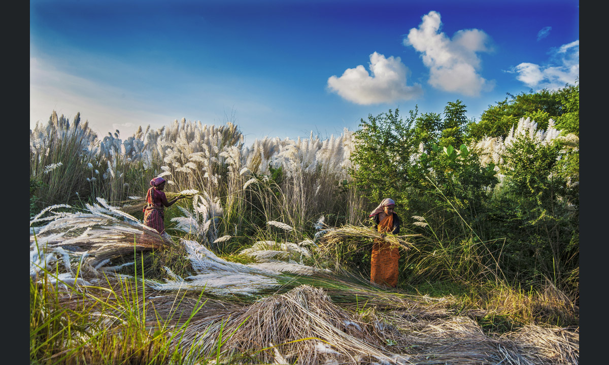 Il fotografo dell’anno secondo la Royal Society of Biology