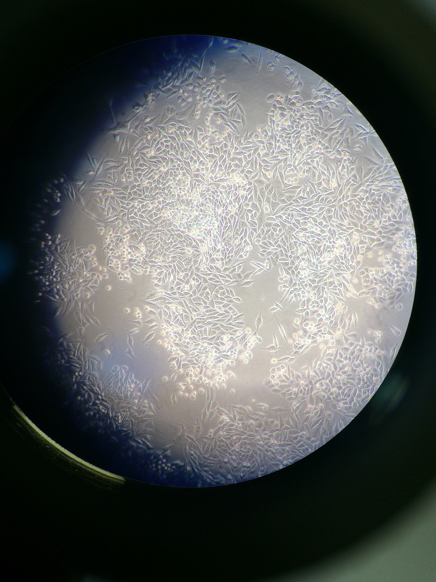 Il fotografo dell’anno secondo la Royal Society of Biology