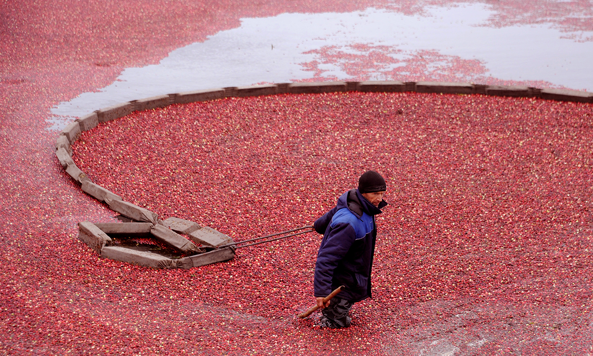 Le foto più belle della settimana – 8/14 ottobre Le foto più belle della settimana – 8/14 ottobre
