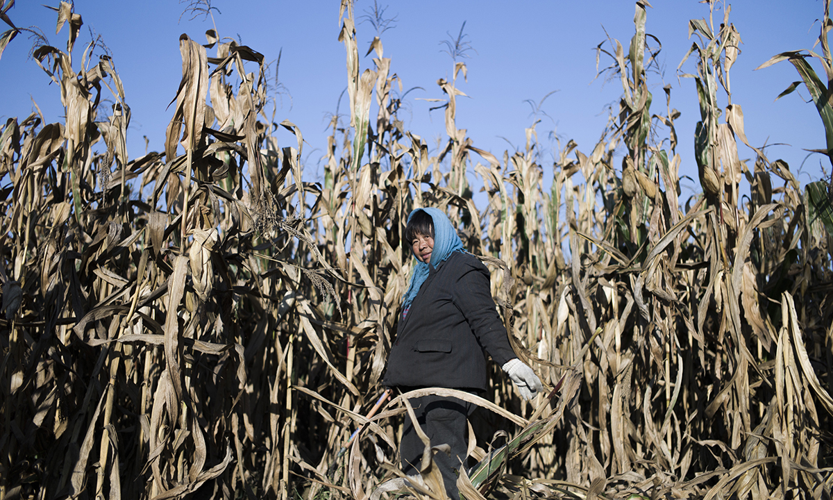 Le foto più belle della settimana – 8/14 ottobre Le foto più belle della settimana – 8/14 ottobre