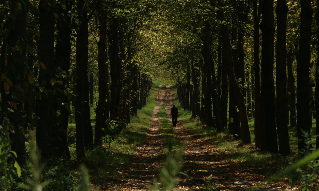 I volti della via Francigena, il doc alla scoperta dell’antico cammino e dei suoi viandanti – Video I volti della via Francigena, il doc alla scoperta dell’antico cammino e dei suoi viandanti – Video