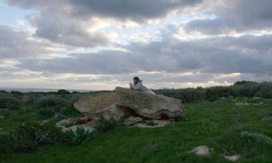 Oscar 2017 al miglior film straniero, gli 84 “rivali” di Fuocoammare