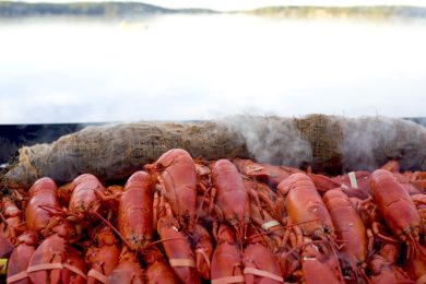 Perché l’aragosta torna ad essere un lusso