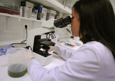 Ritrama invests in a North American headquarter