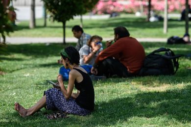 How to grow (Italian) furniture