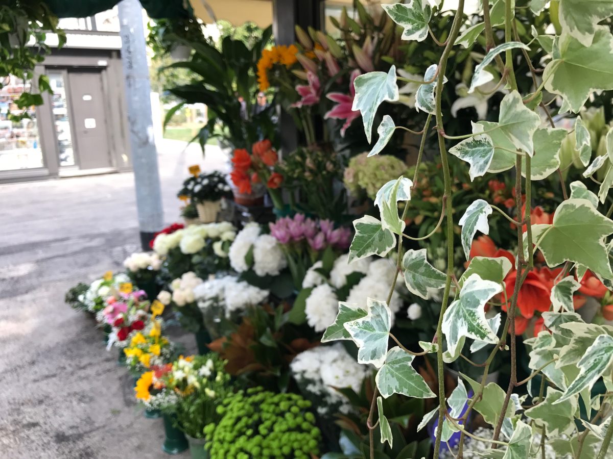 Galleria foto 'Apple iPhone 7 Plus: la recensione' - foto 14