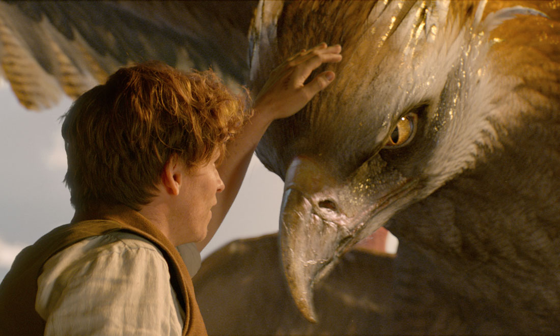 I 10 film più visti della settimana (21-27 novembre) I 10 film più visti della settimana (21-27 novembre)