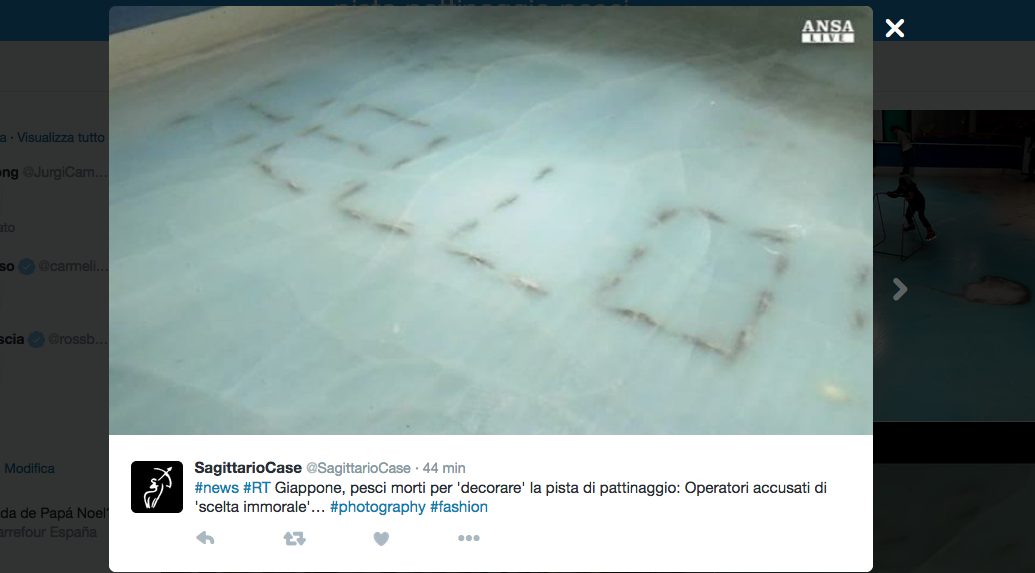 Chiude in Giappone la pista choc di pattinaggio sul ghiaccio Chiude in Giappone la pista choc di pattinaggio sul ghiaccio