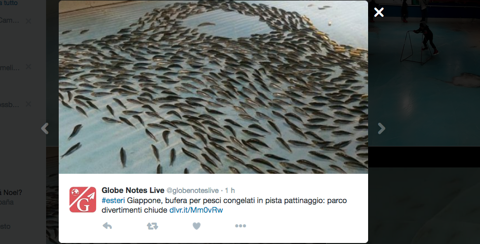 Chiude in Giappone la pista choc di pattinaggio sul ghiaccio Chiude in Giappone la pista choc di pattinaggio sul ghiaccio