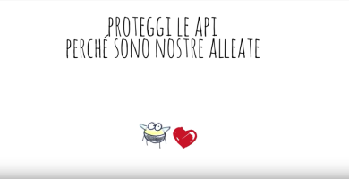Chi salva le api salva il mondo. Il cartone animato per l’apicoltura
