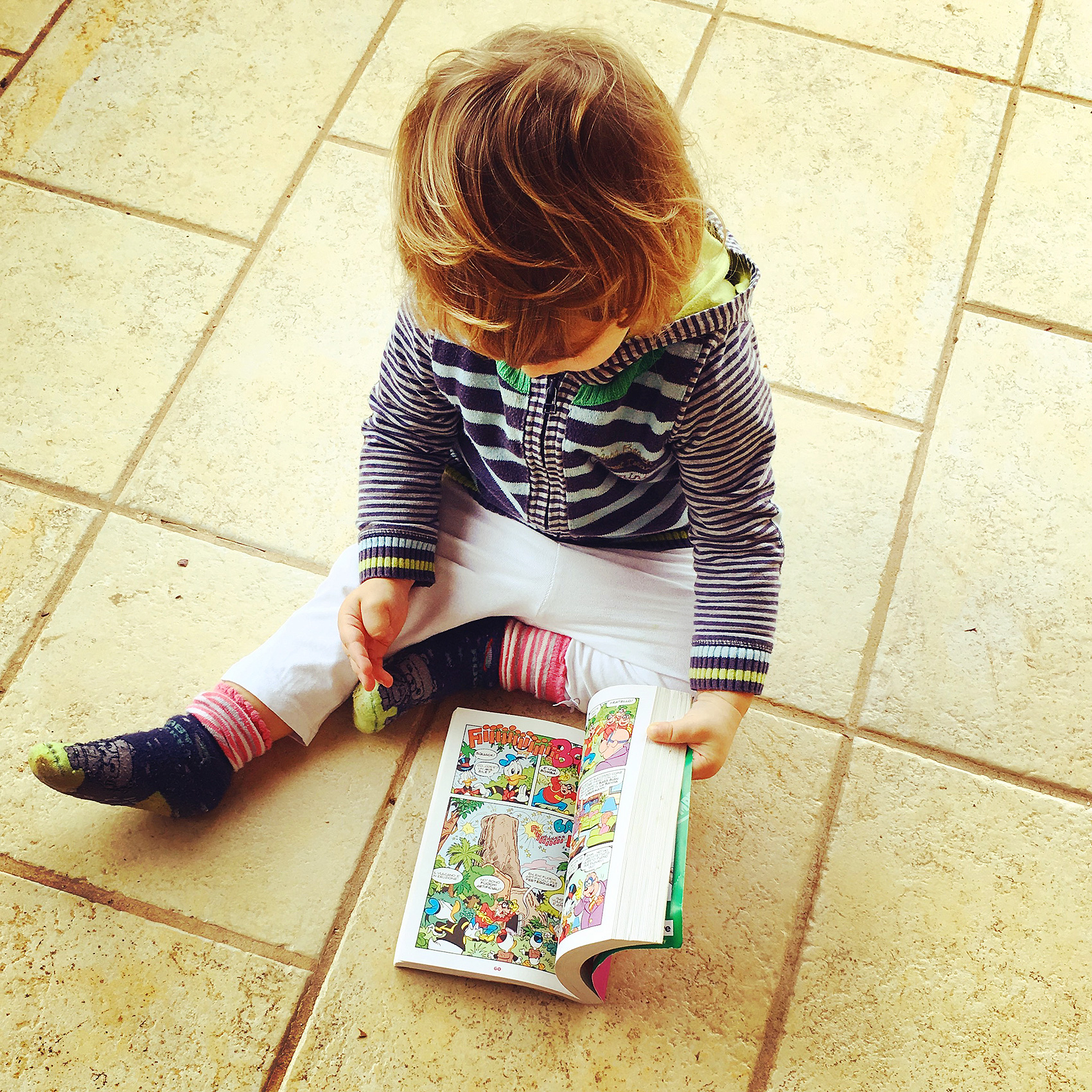 In viaggio, tra l’ulivo e il melograno