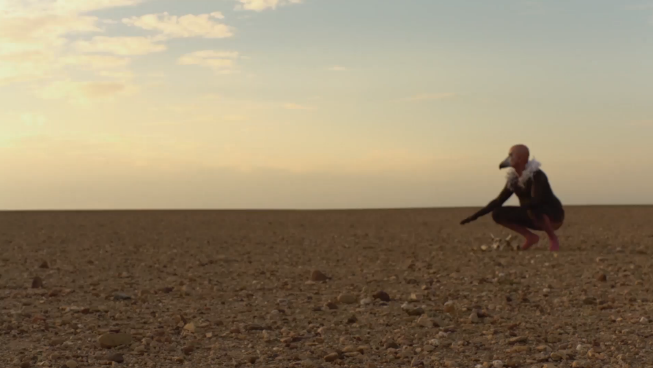 Il nuovo spot “Wild” dello Zoo di 105 Il nuovo spot “Wild” dello Zoo di 105