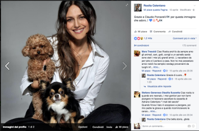 Referendum costituzionale, i vip che votano no