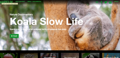 Per chi soffre d’insonnia ora arriva Napflix