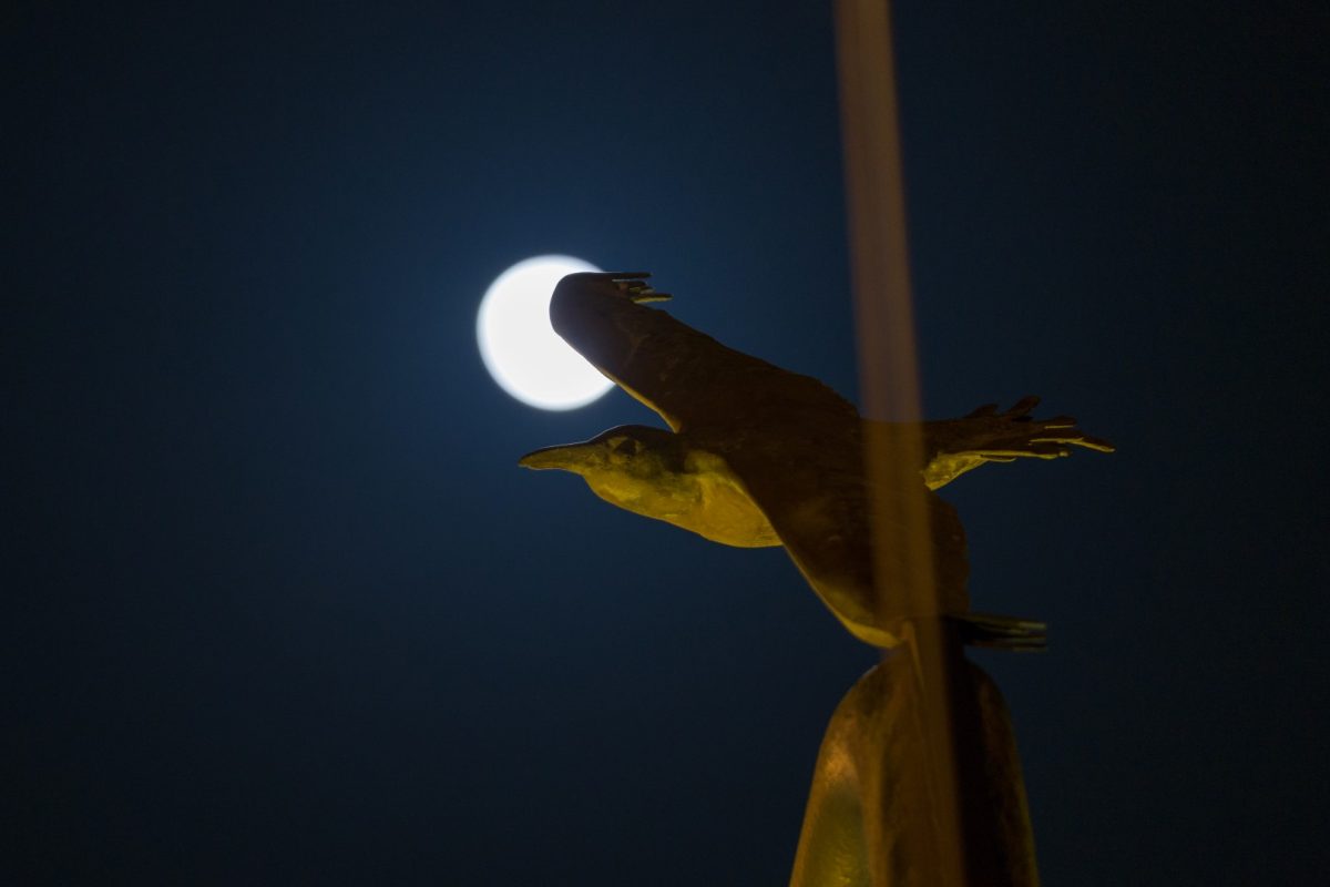 Galleria foto '5 consigli (+1) per fotografare la luna' - foto 2