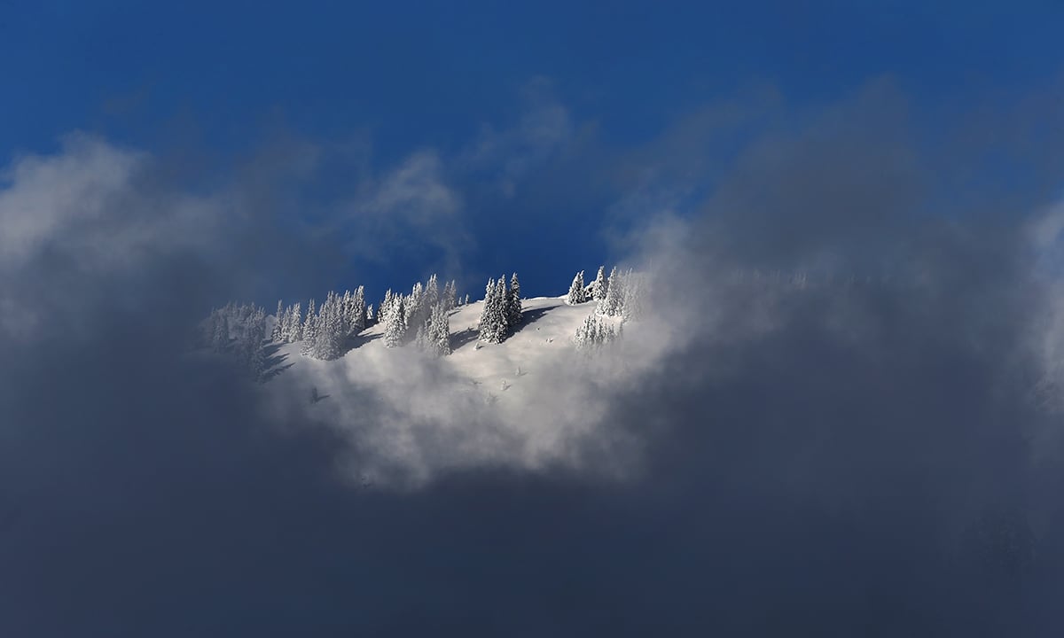 Le foto più belle della settimana – 12/18 novembre Le foto più belle della settimana – 12/18 novembre