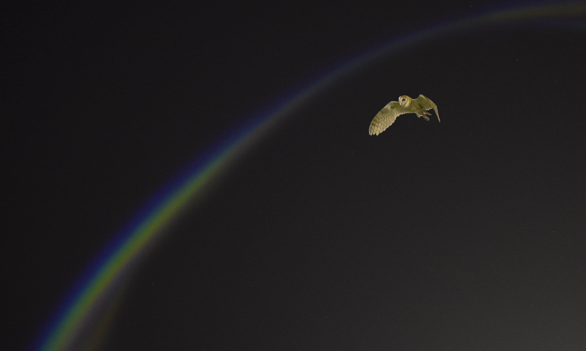 Le foto più belle della settimana – 12/18 novembre Le foto più belle della settimana – 12/18 novembre