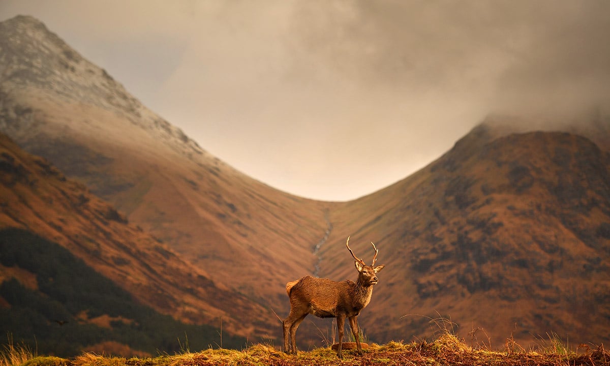 Le foto più belle della settimana – 12/18 novembre Le foto più belle della settimana – 12/18 novembre