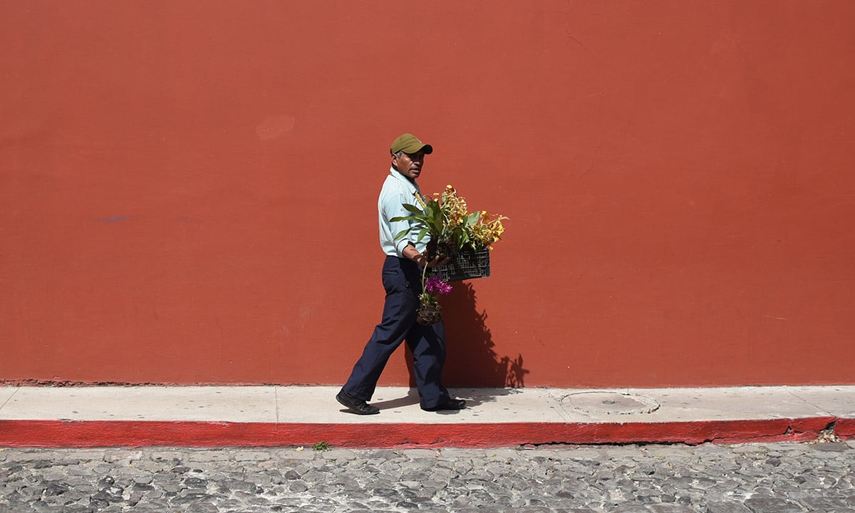 Le foto più belle della settimana – 12/18 novembre Le foto più belle della settimana – 12/18 novembre