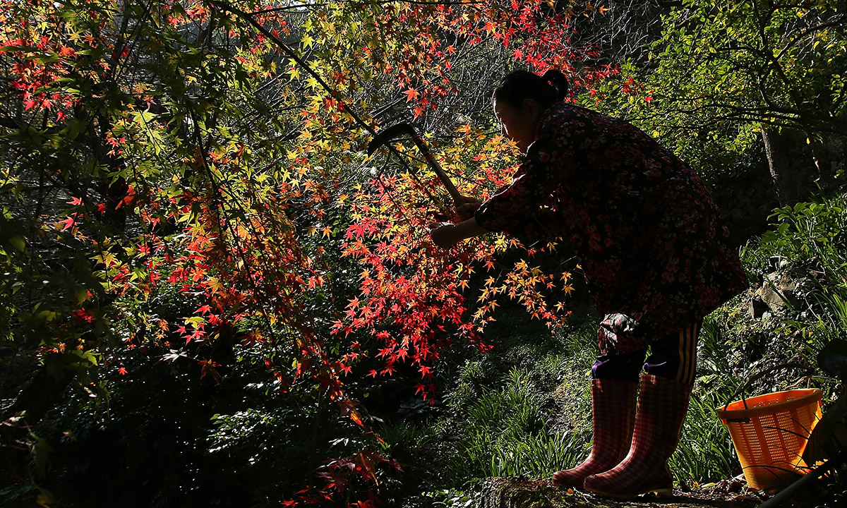 Le foto più belle della settimana – 12/18 novembre Le foto più belle della settimana – 12/18 novembre