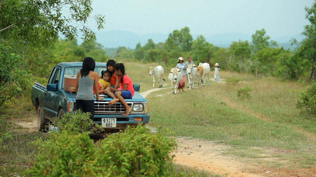 Parla con gli alberi, il martirio dei bambini venduti – La recensione