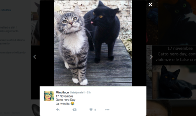 Gatto nero day, una giornata per superare le superstizioni