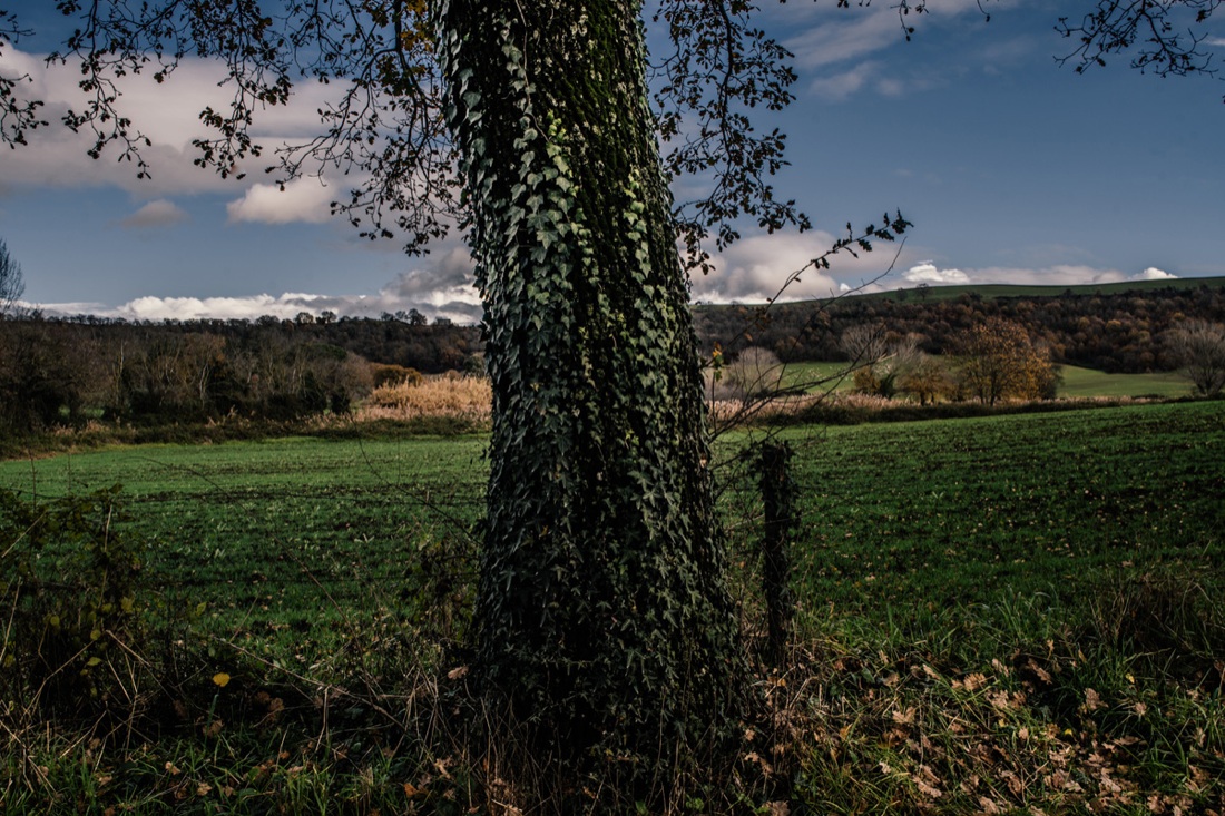 Roma: Indagine (fotografica) ai limiti di una città Roma: Indagine (fotografica) ai limiti di una città