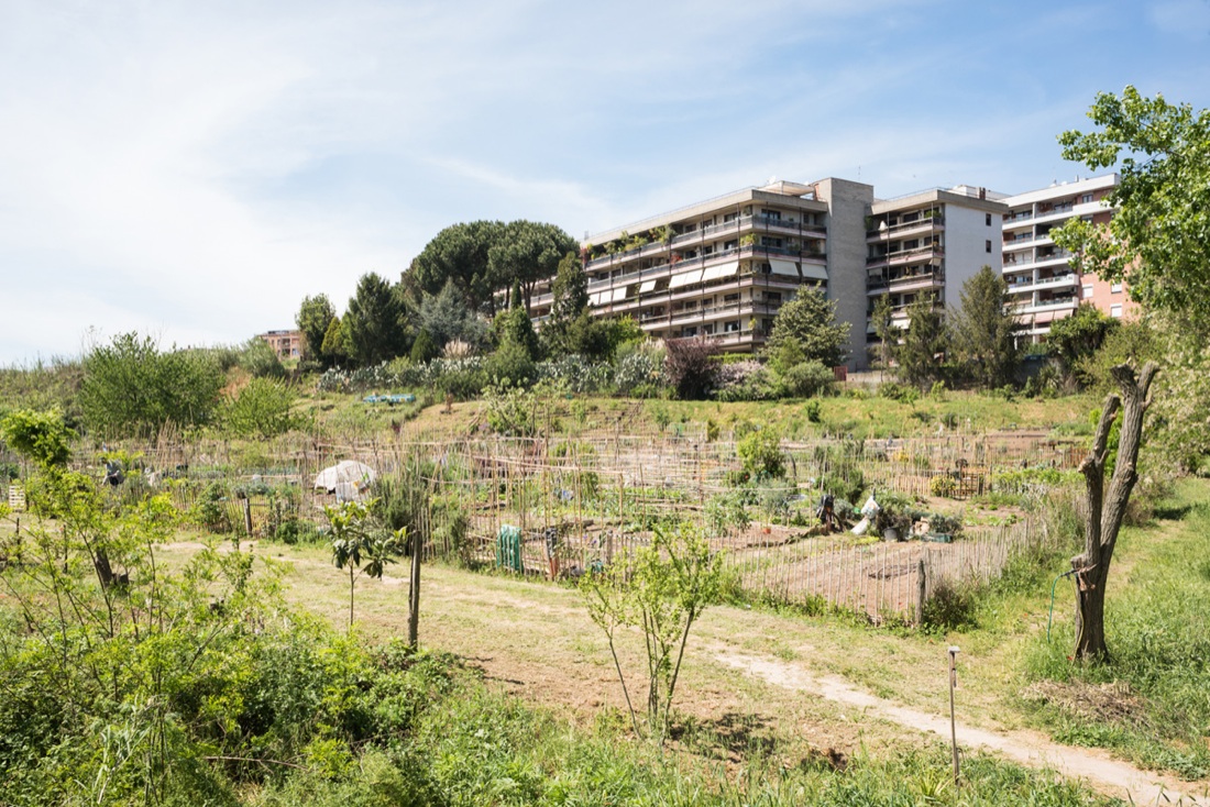 Roma: Indagine (fotografica) ai limiti di una città Roma: Indagine (fotografica) ai limiti di una città