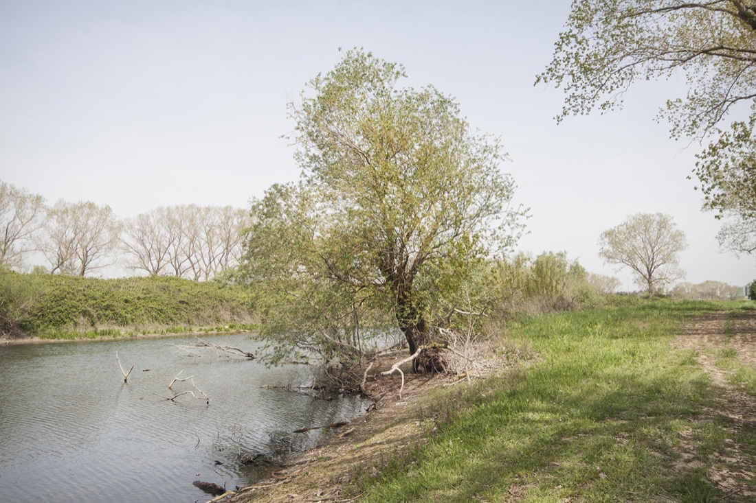 Roma: Indagine (fotografica) ai limiti di una città Roma: Indagine (fotografica) ai limiti di una città
