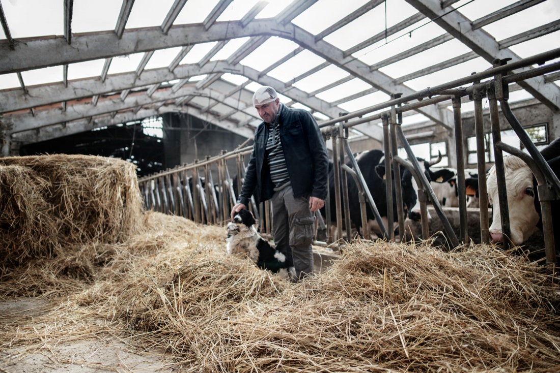 Terremoto: noi non tremiamo, e non scappiamo