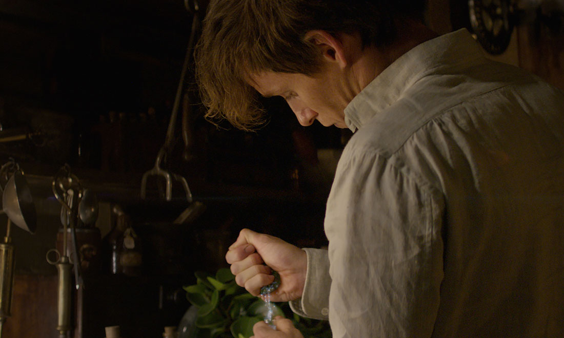 Animali fantastici e dove trovarli, le recensioni internazionali Animali fantastici e dove trovarli, le recensioni internazionali