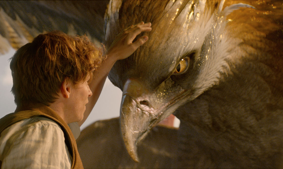 Animali fantastici e dove trovarli, le recensioni internazionali Animali fantastici e dove trovarli, le recensioni internazionali