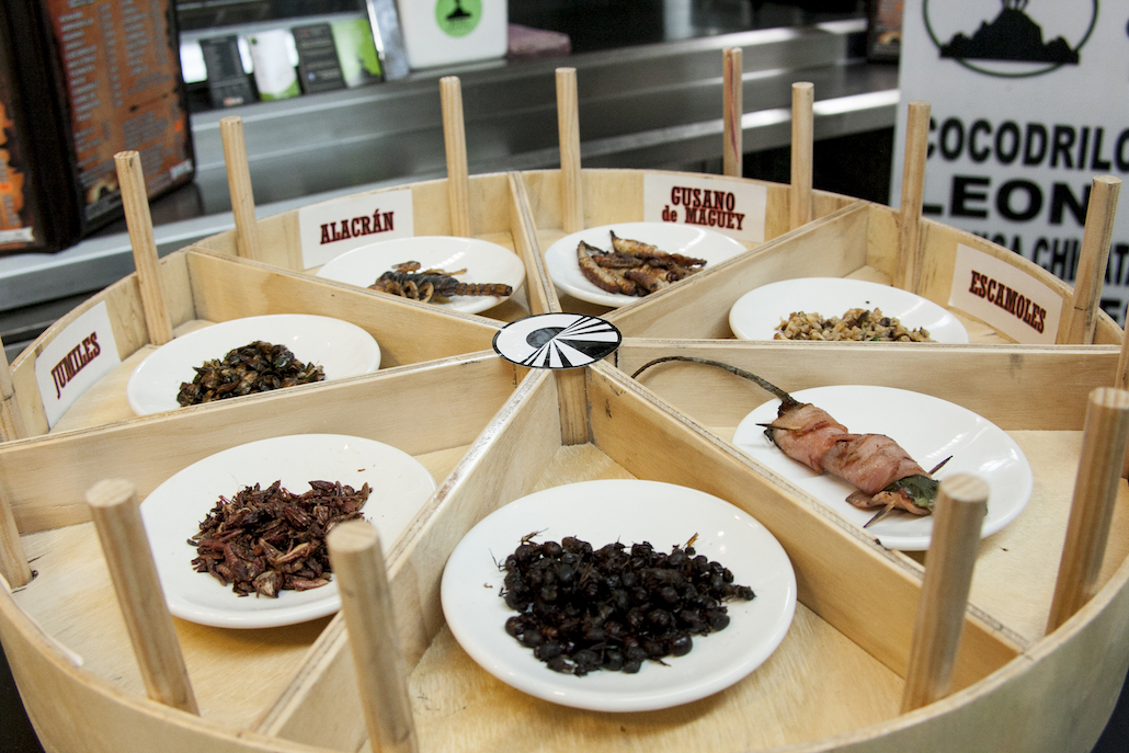 Pechino Express 5: Tina Cipollari fuori dalla finale, vincono di Socialisti Pechino Express 5: Tina Cipollari fuori dalla finale, vincono di Socialisti