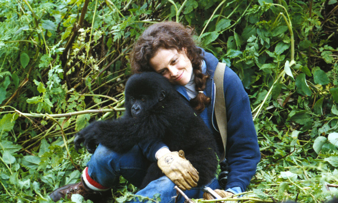 10 film belli per gli amanti degli animali 10 film belli per gli amanti degli animali