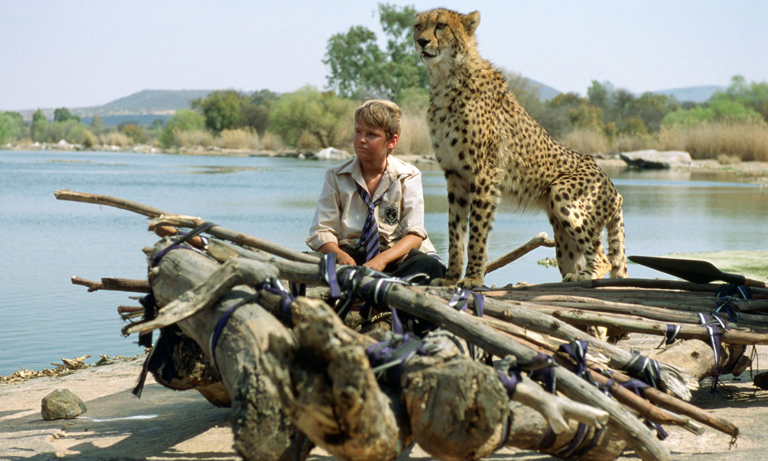 10 film belli per gli amanti degli animali 10 film belli per gli amanti degli animali