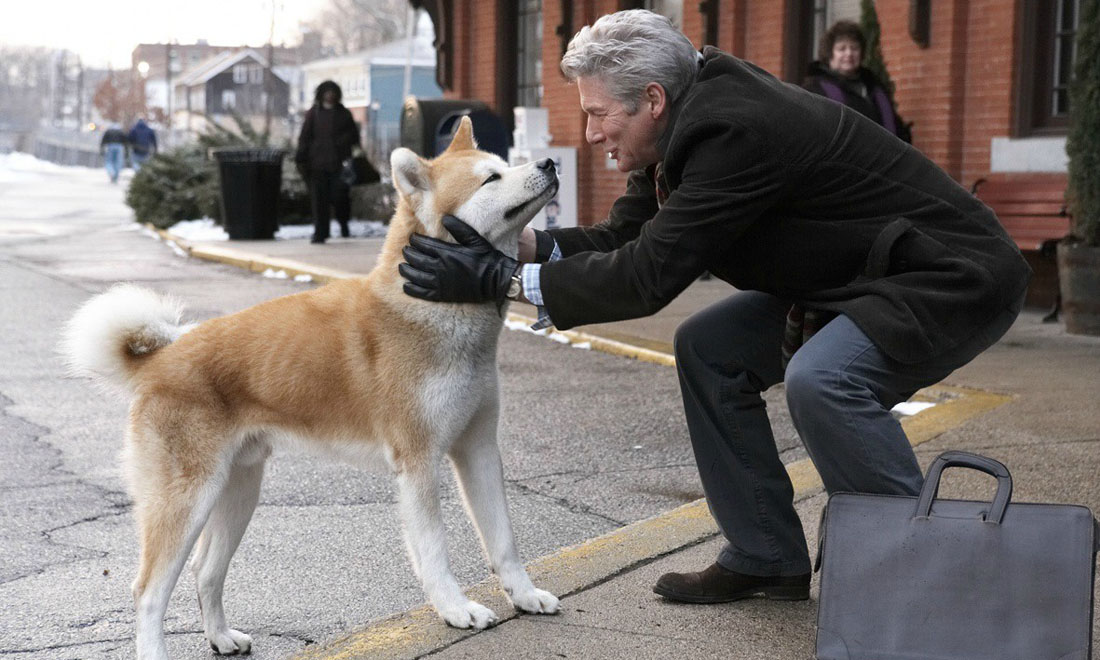 10 film belli per gli amanti degli animali 10 film belli per gli amanti degli animali