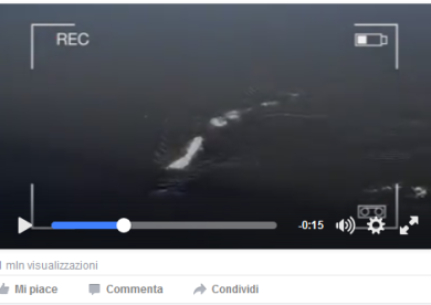 Il mistero del “mostro” di Loch Ness in Alaska