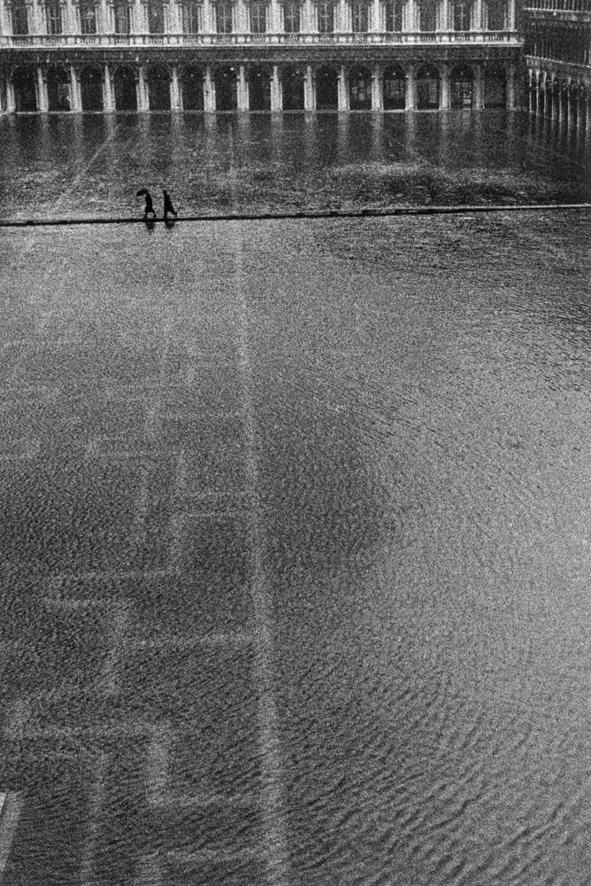 Scatti per Bene: foto d’autore all’asta per beneficenza Scatti per Bene: foto d’autore all’asta per beneficenza