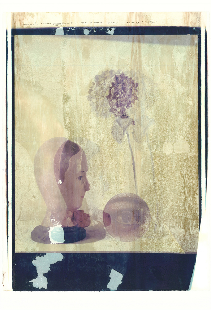 Scatti per Bene: foto d’autore all’asta per beneficenza Scatti per Bene: foto d’autore all’asta per beneficenza