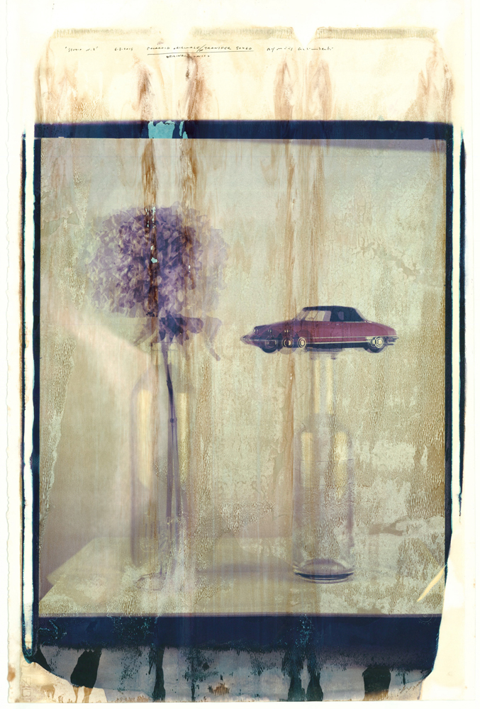 Scatti per Bene: foto d’autore all’asta per beneficenza Scatti per Bene: foto d’autore all’asta per beneficenza