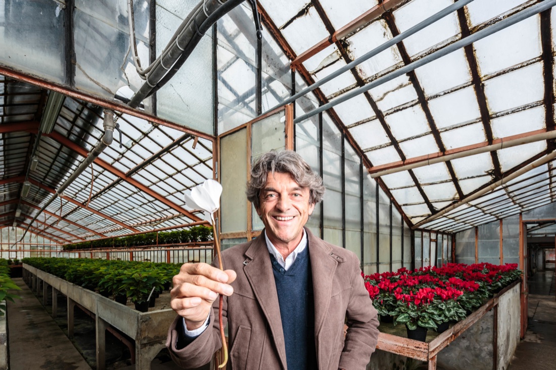 Aiuole galleggianti per mantenere il primato Aiuole galleggianti per mantenere il primato